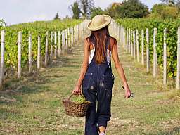 adobestock 145560670 original 299341