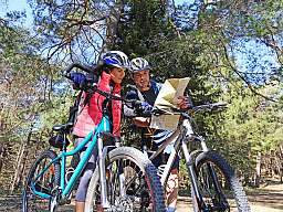 aktiv arrangement v2