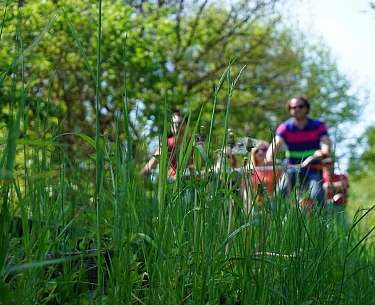 Draisinentour Blick vom Gras auf eine Draisine mit Menschen
