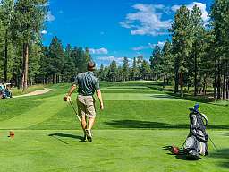 golfer 1960998 v2