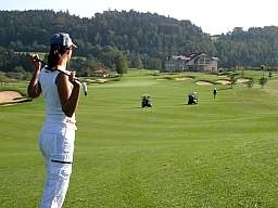 golferr original 227420 v2