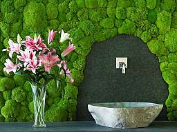 granderwaser original 338582 v2