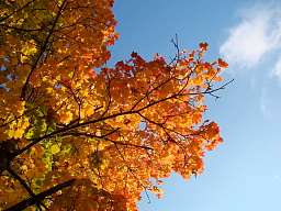Wandertage wandertage im goldenen herbst harz original 178951 v16