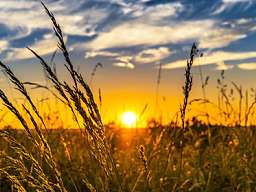 summersunset-450x280