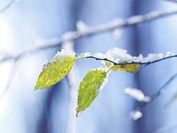 Winter-Wunderwelt