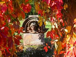 Herbstwünsche-Arrangement