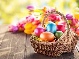 iStock_000023232401_Medium