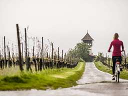 C-Hannes-Niederkofler_WEB-6352