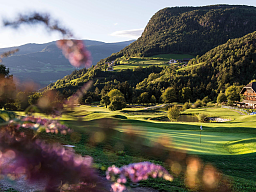 Golf mit rosa Blumen