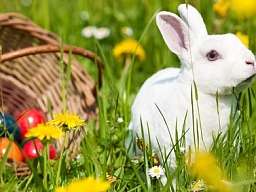 Ostern Ostern