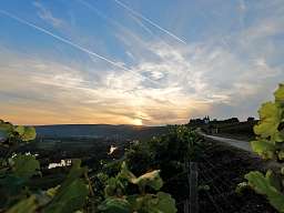 vogelsburg original 263941