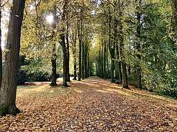Herbst-Foto-2019-Park