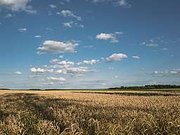 nrp landschaft web v2.013