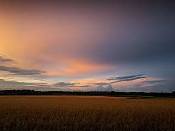 nrp landschaft web v2.119