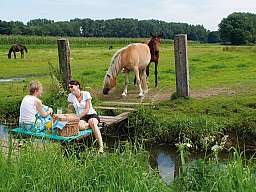 picknick klein original 364611 v2