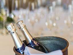 sekt original 339022 v2