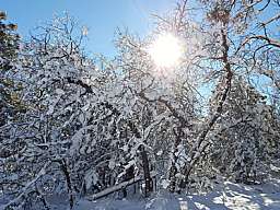 snow 1165534 450x280 original 266873 v2