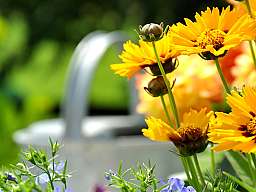 sonnenstunden original 235055 v3