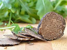 trueffelwochenende original 141809 v2