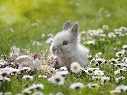 website erlebnismoment ostern 2025 2  v2