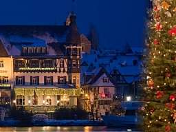 weihnachten bellevue original 245259